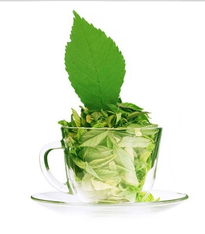 品味臺(tái)灣清新 四兩綠茶飲產(chǎn)品與店鋪視覺之美